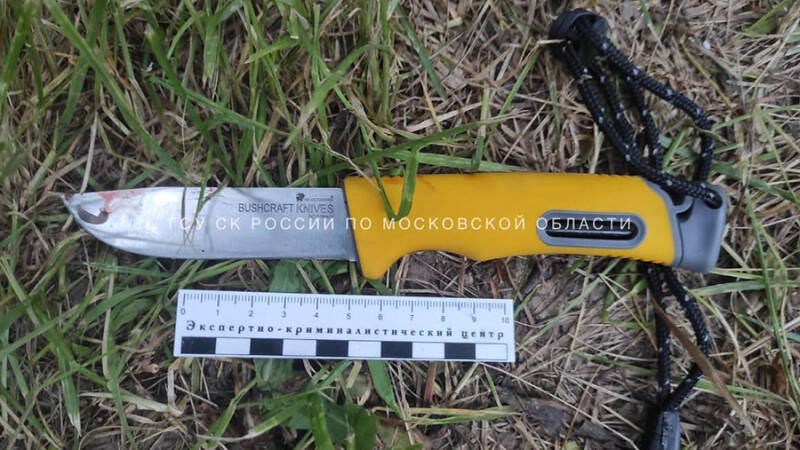 В Подмосковье пятиклассник напал с ножом на семиклассника