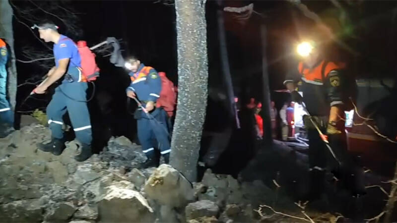 Под Алуштой сотрудники МЧС ликвидировали открытое горение лесной подстилки